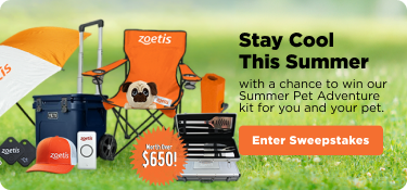 Stay cool this summer